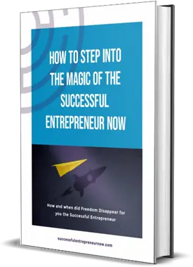 How to Step into the Magic of the Successful Entrepreneur Now Book